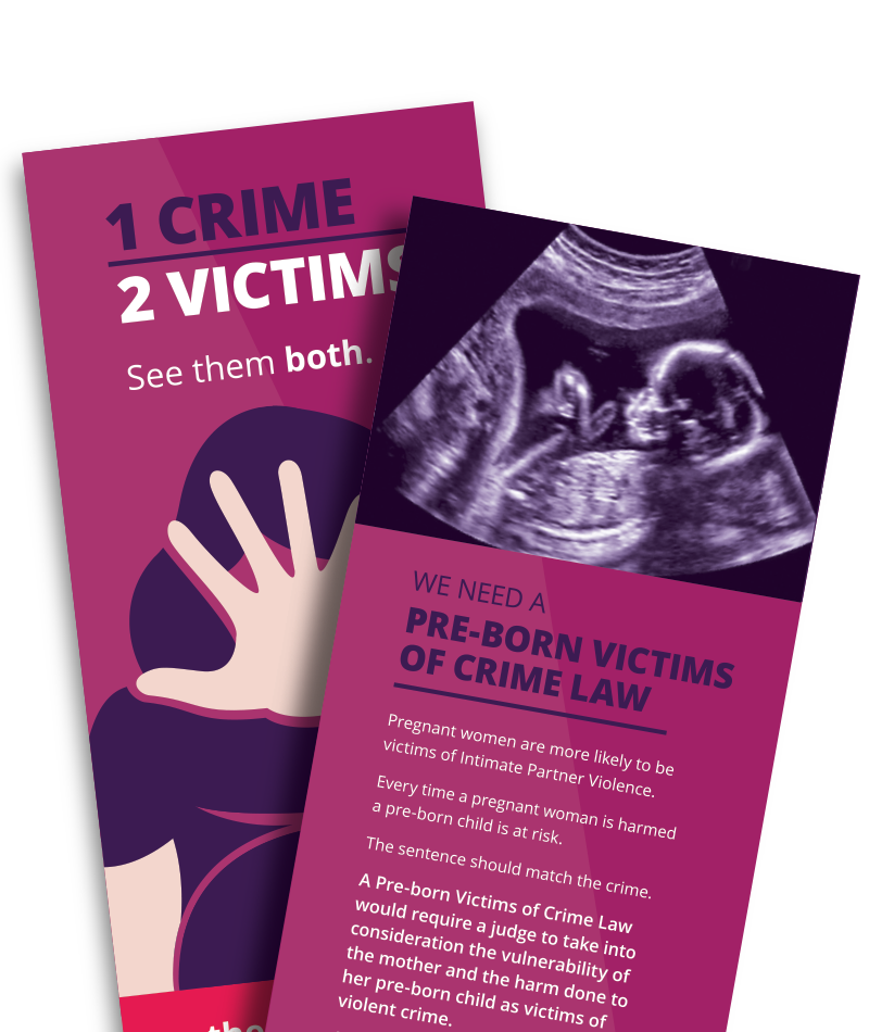 Pro life rack cards to distribute